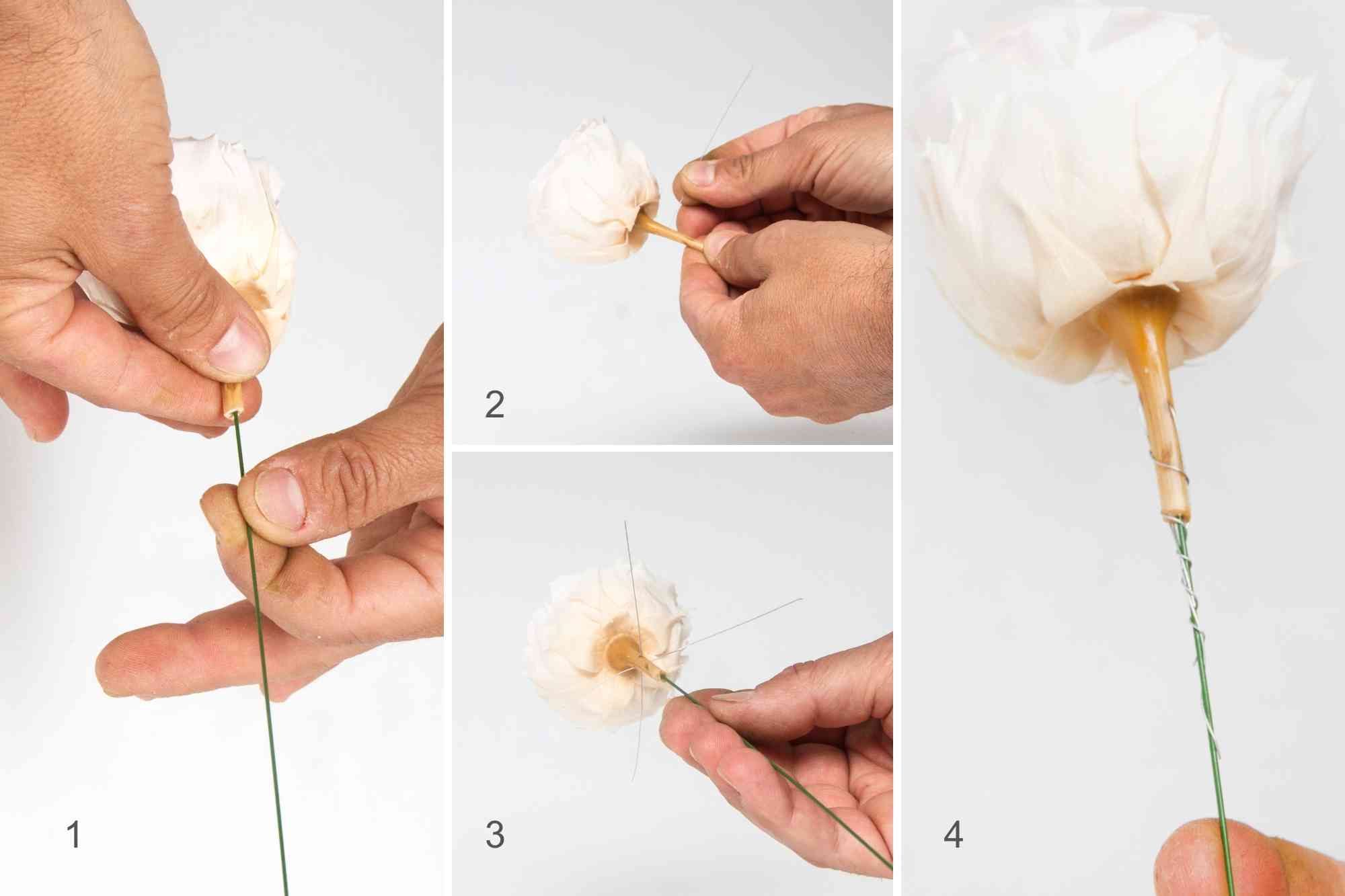 this is a step by step picture on how to stem a preserved flower head, the descriptive text is above